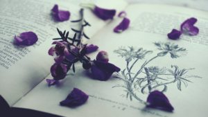 purple petals on opened book
